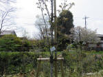 2242_kn48s200402.jpg