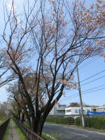 2243_317s200402.jpg