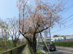 2246_318s200402.jpg