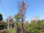 s200406_016_ks26.jpg