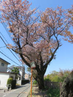 s200406_034_616.jpg