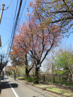 s200406_055_597.jpg