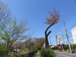 s200406_070_457.jpg