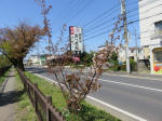 s200406_072_456.jpg