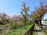 s200406_077_kn28.jpg