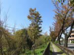 s200406_087_kn23.jpg