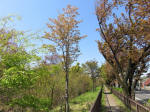 s200406_091_kn21.jpg