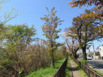 s200406_098_kn17.jpg