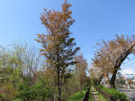 s200406_104_kn16.jpg