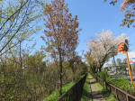 s200406_109_kn15.jpg