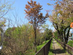 s200406_118_kn20.jpg