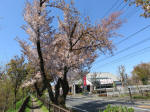 s200406_142_421.jpg