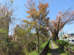 s200406_145_kn3.jpg