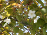 s200406_146_kn3.jpg