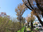s200406_151_kn2.jpg
