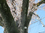 s200406_156_412.jpg
