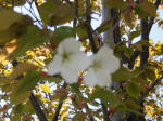 s200406_242_n46.jpg