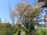 s200406_244_360.jpg
