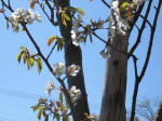 s200406_245_n45.jpg