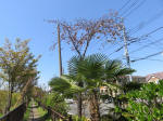 s200406_249_358.jpg