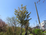 s200406_252_n43.jpg