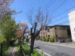 s200406_261_353.jpg
