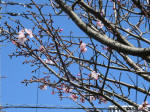 s200406_262_353.jpg