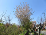s200406_264_n39.jpg