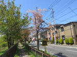s200406_267_352.jpg
