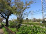 s200406_389_465.jpg