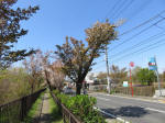 s200406_455_425.jpg