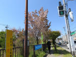 s200406_482_n38.jpg