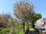 s200406_484_n37.jpg