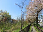 s200406_489_n35.jpg