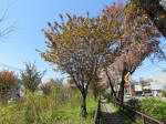 s200406_498_n33.jpg