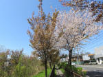 s200406_504_n15.jpg