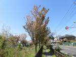 s200406_510_n13.jpg