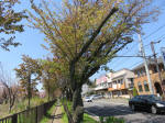 s200406_513_392.jpg