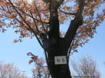s200406_521_n6.jpg