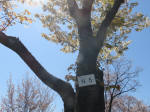 s200406_524_n5.jpg