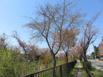 s200406_528_n3.jpg