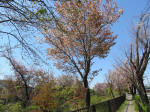 s200406_531_n2.jpg