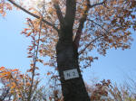 s200406_533_n2.jpg
