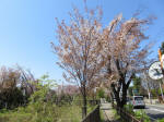 s200406_537_n60.jpg