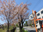 s200406_539_378.jpg