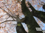 s200406_540_378.jpg