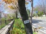 s200406_547_376.jpg