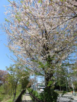 s200406_550_374.jpg