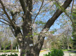 s200406_551_374.jpg