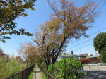 s200406_552_368.jpg